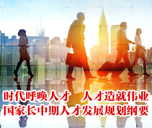 国家人才计划